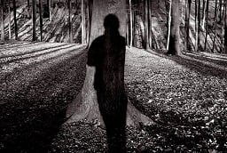 forest shadow figure